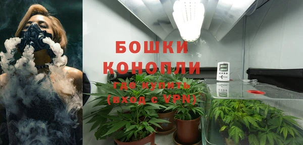 молекула духа Бородино