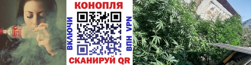 Каннабис AK-47 Зубцов